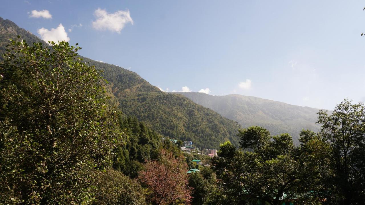 Angela'S Boutique Homes Dharamkot Dharamsala Exteriér fotografie