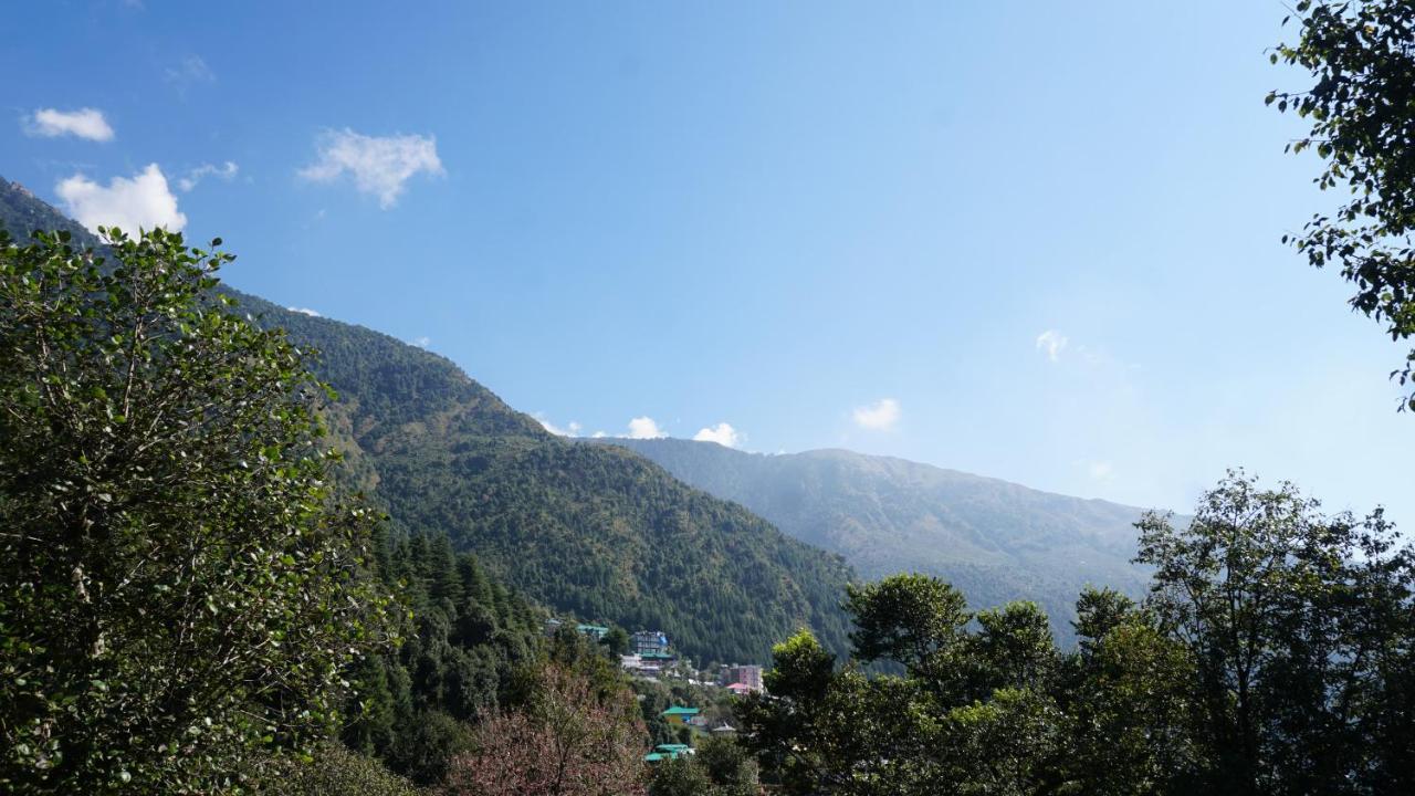 Angela'S Boutique Homes Dharamkot Dharamsala Exteriér fotografie