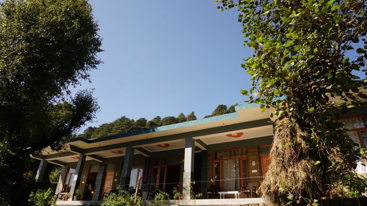 Angela'S Boutique Homes Dharamkot Dharamsala Exteriér fotografie